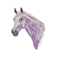 Mustang Quotes Mustang Quotes