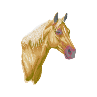 Mustang Quotes Mustang Quotes