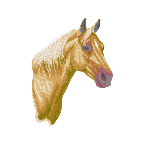 Mustang Quotes Mustang Quotes