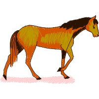 Mustang Quotes Mustang Quotes