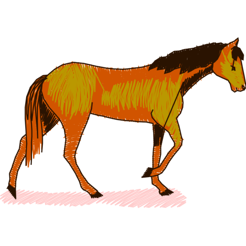 Mustang Quotes Mustang Quotes