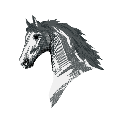 Mustang Quotes Mustang Quotes