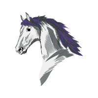 Mustang Quotes Mustang Quotes