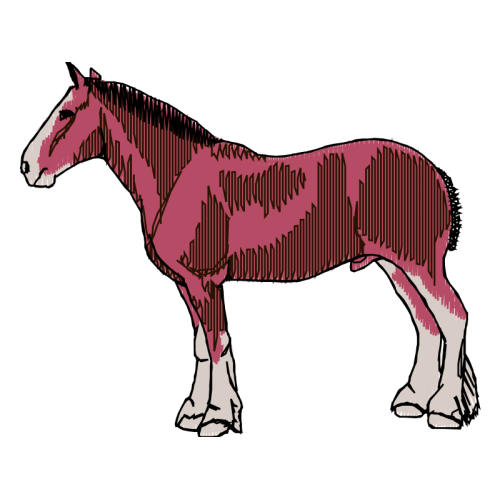 Mustang Quotes Mustang Quotes