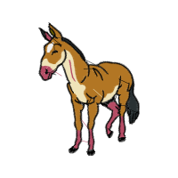 Mustang Quotes Mustang Quotes