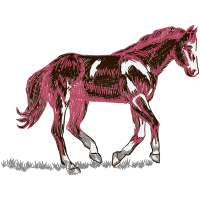 Mustang Quotes Mustang Quotes