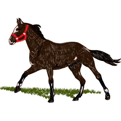 Mustang Quotes Mustang Quotes