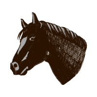 Mustang Quotes Mustang Quotes