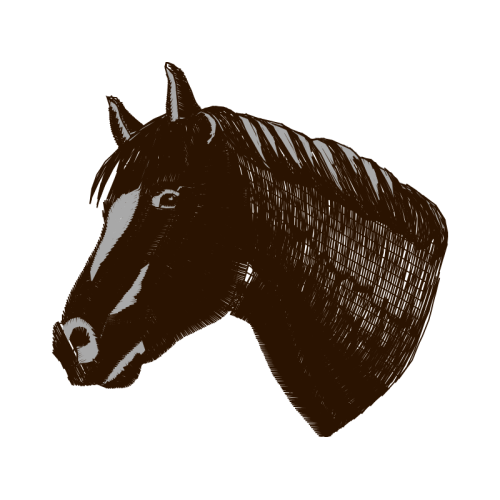 Mustang Quotes Mustang Quotes