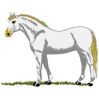 Mustang Quotes Mustang Quotes