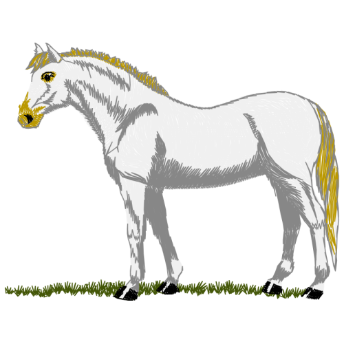 Mustang Quotes Mustang Quotes