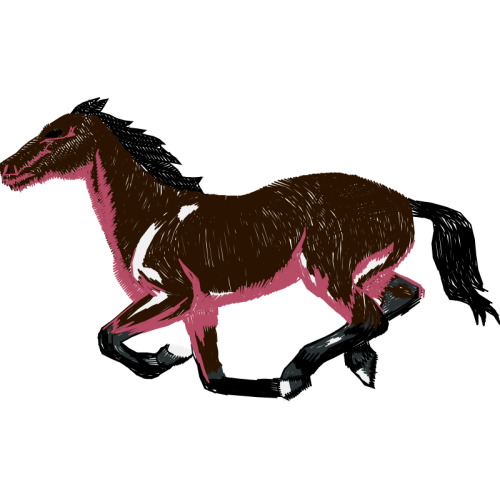 Mustang Quotes Mustang Quotes