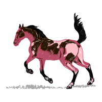 Mustang Quotes Mustang Quotes