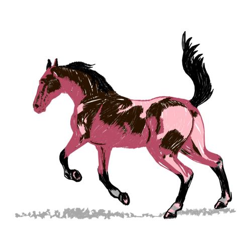 Mustang Quotes Mustang Quotes