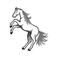 Mustang Quotes Mustang Quotes