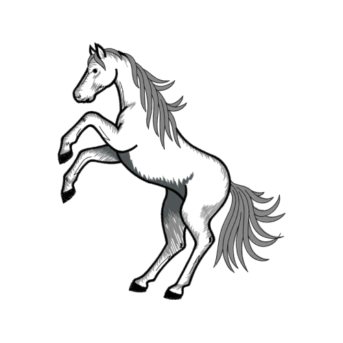 Mustang Quotes Mustang Quotes