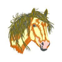 Mustang Quotes Mustang Quotes