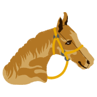 Mustang Quotes Mustang Quotes