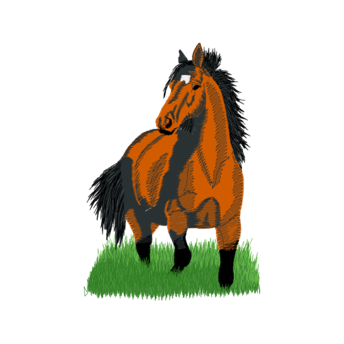 Mustang Quotes Mustang Quotes