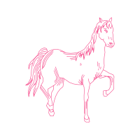 Mustang Quotes Mustang Quotes