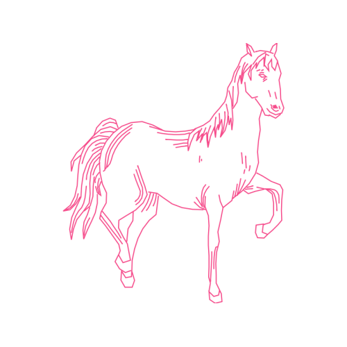 Mustang Quotes Mustang Quotes