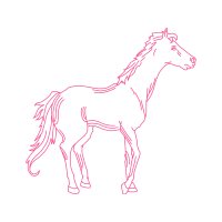 Mustang Quotes Mustang Quotes