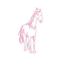 Mustang Quotes Mustang Quotes