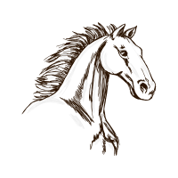 Mustang Quotes Mustang Quotes