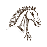 Mustang Quotes Mustang Quotes