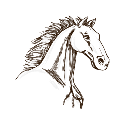 Mustang Quotes Mustang Quotes