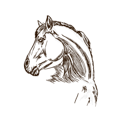 Mustang Quotes Mustang Quotes