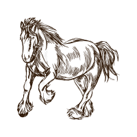 Mustang Quotes Mustang Quotes