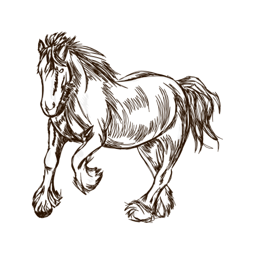 Mustang Quotes Mustang Quotes