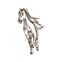 Mustang Quotes Mustang Quotes