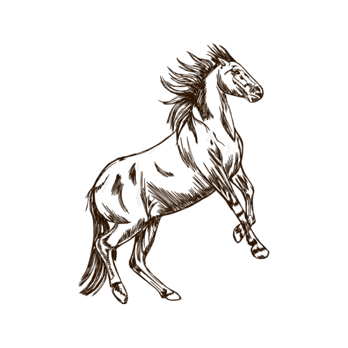 Mustang Quotes Mustang Quotes