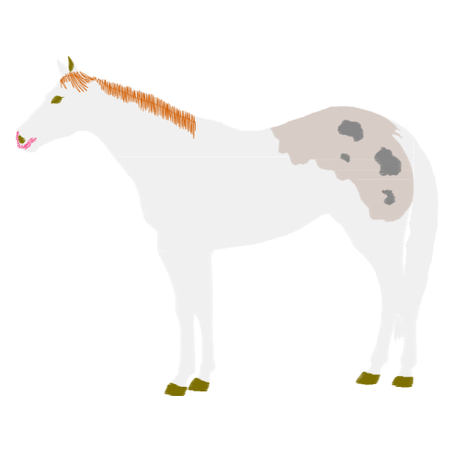 Mustang Quotes Mustang Quotes