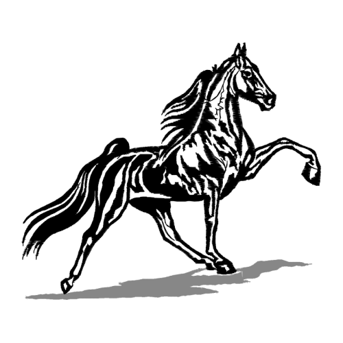 Mustang Quotes Mustang Quotes