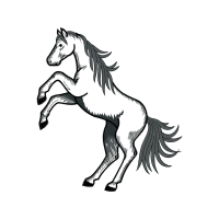 Mustang Quotes Mustang Quotes