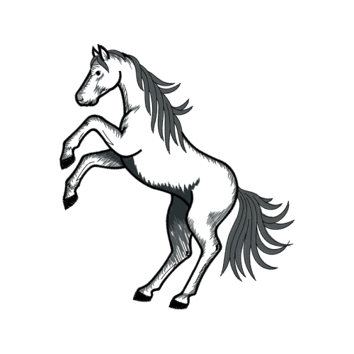 Mustang Quotes Mustang Quotes