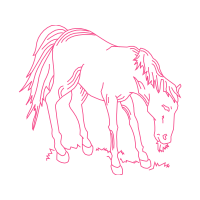 Mustang Quotes Mustang Quotes