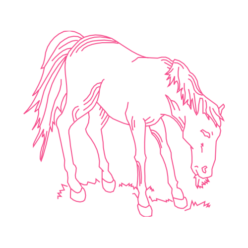 Mustang Quotes Mustang Quotes