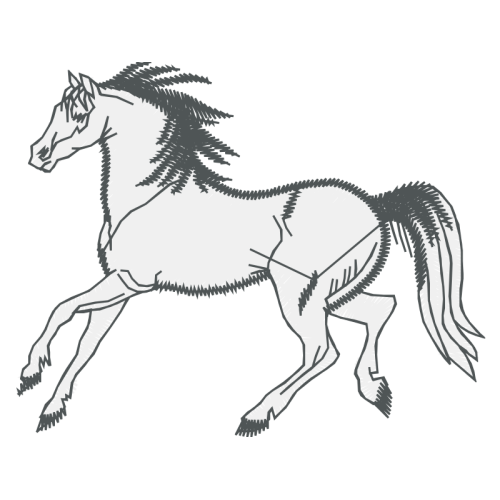 Mustang Quotes Mustang Quotes