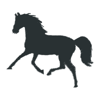 Mustang Quotes Mustang Quotes