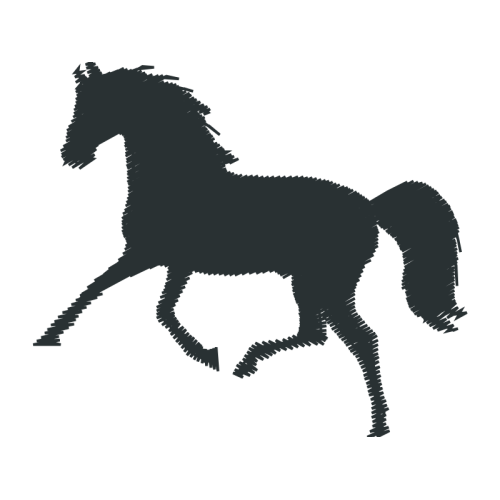 Mustang Quotes Mustang Quotes