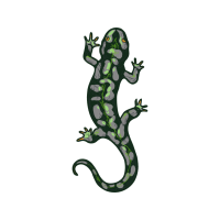 Newts Quotes Newts Quotes