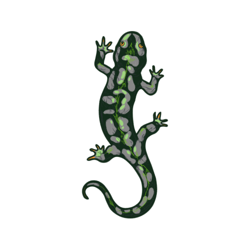 Newts Quotes Newts Quotes