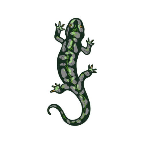 Newts Quotes Newts Quotes