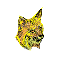 Norwich Terrier Quotes Norwich Terrier Quotes