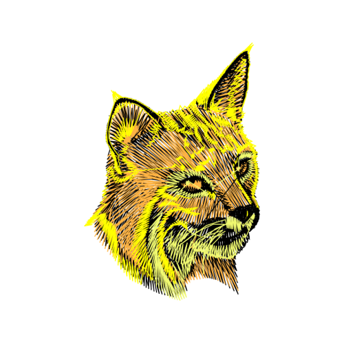 Norwich Terrier Quotes Norwich Terrier Quotes