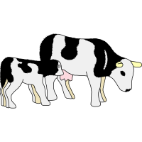 Old Danish Pointer Quotes Old Danish Pointer Quotes